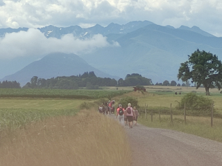 MARCHE LA BARTRÉSIENNE 2022